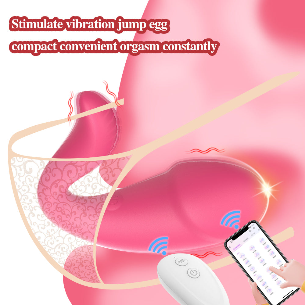 Wifi Mobile Controlled Remote App Vibrator Couple Vibrating Panty Toys Bluetooth Sex Toy