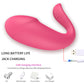 Wifi Mobile Controlled Remote App Vibrator Couple Vibrating Panty Toys Bluetooth Sex Toy