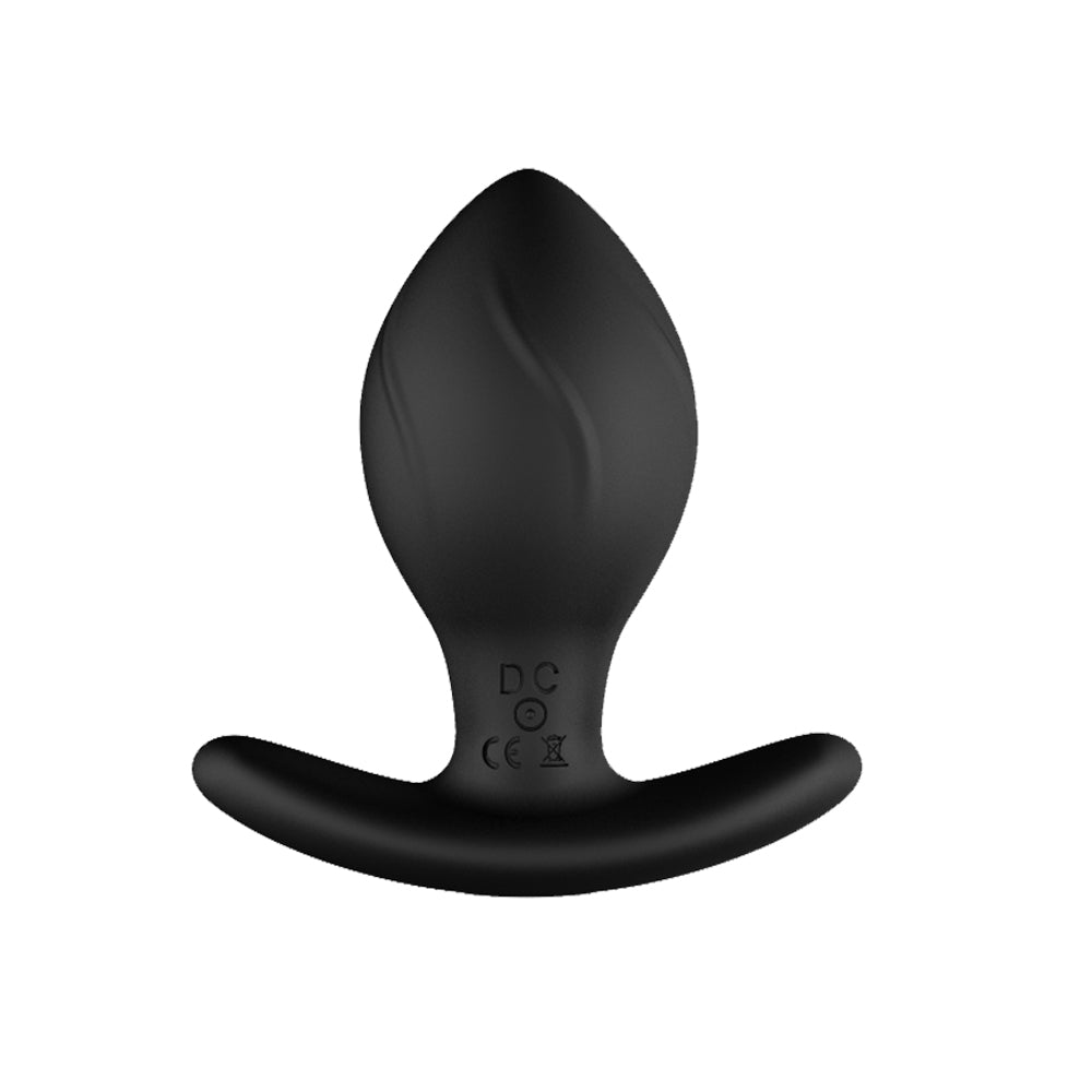 4PCS 10 Vibrating Butt Plug Set Anal Plug , Remote Control P Spot Anal Dildo Toy Male Adult Sex Toys for Men Women and Couple